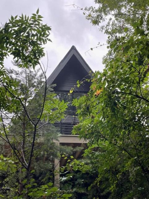 A Frame Of Mind Villa ดาห์ลอนีกา ภายนอก รูปภาพ
